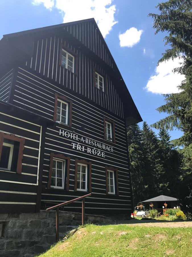 Hotel Tri Ruze Spindleruv Mlyn Exterior foto